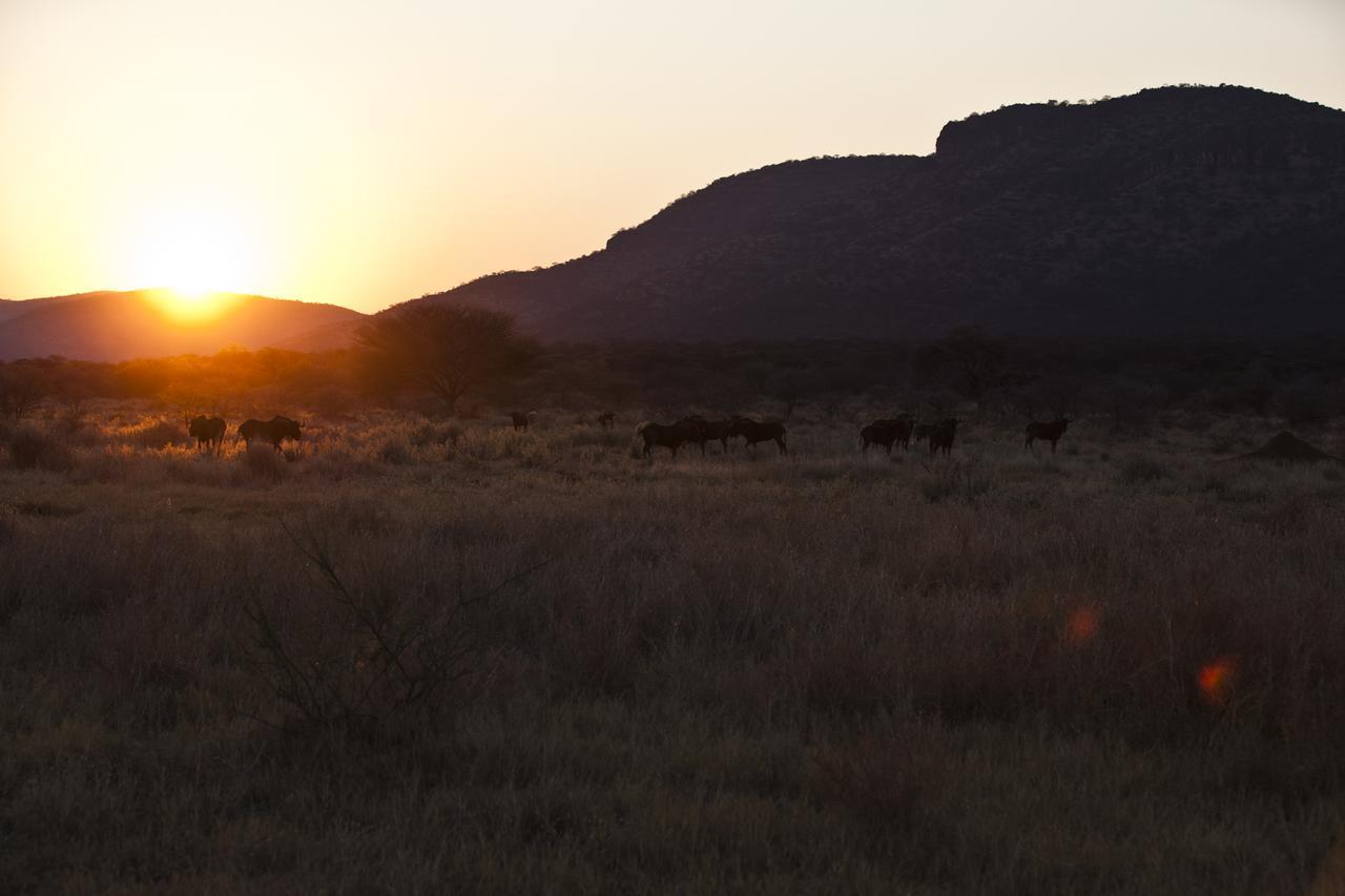 Gabus Game Ranch Villa Otavi Buitenkant foto