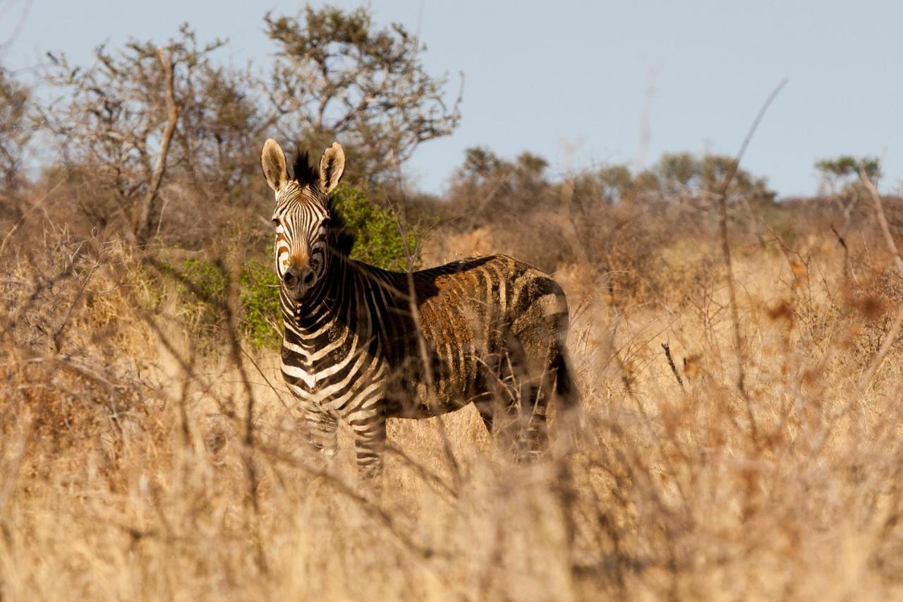 Gabus Game Ranch Villa Otavi Buitenkant foto