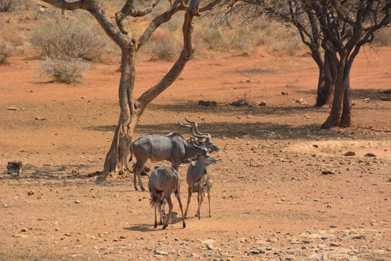 Gabus Game Ranch Villa Otavi Buitenkant foto