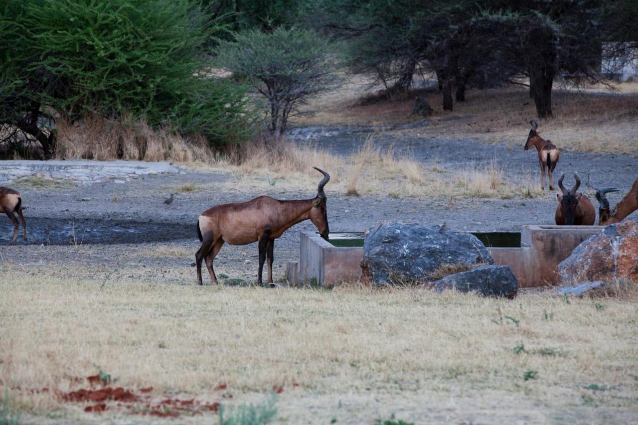 Gabus Game Ranch Villa Otavi Buitenkant foto