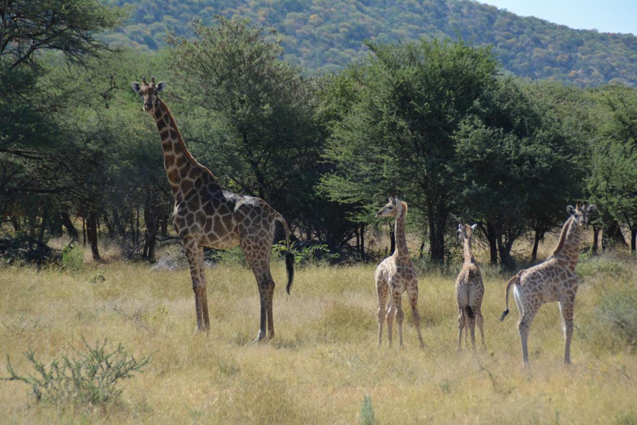 Gabus Game Ranch Villa Otavi Buitenkant foto