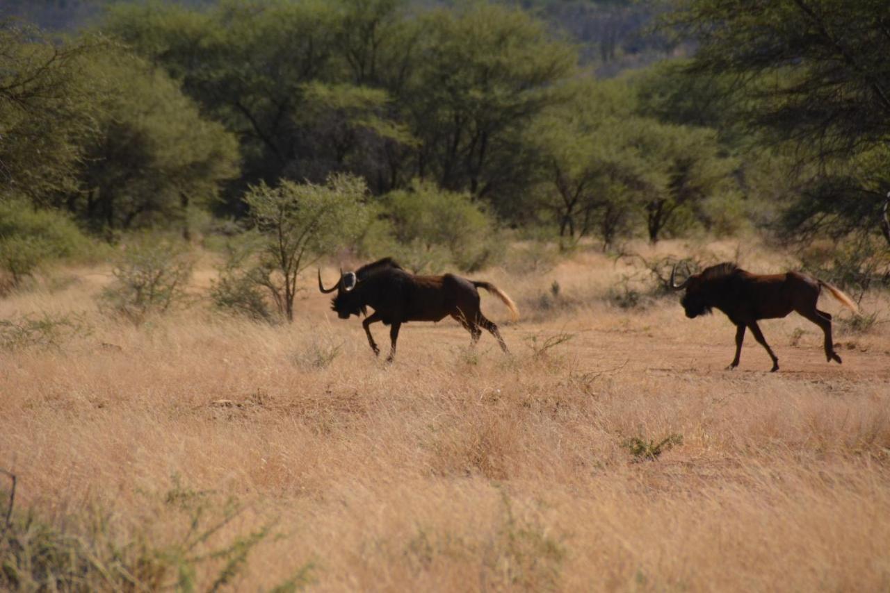 Gabus Game Ranch Villa Otavi Buitenkant foto