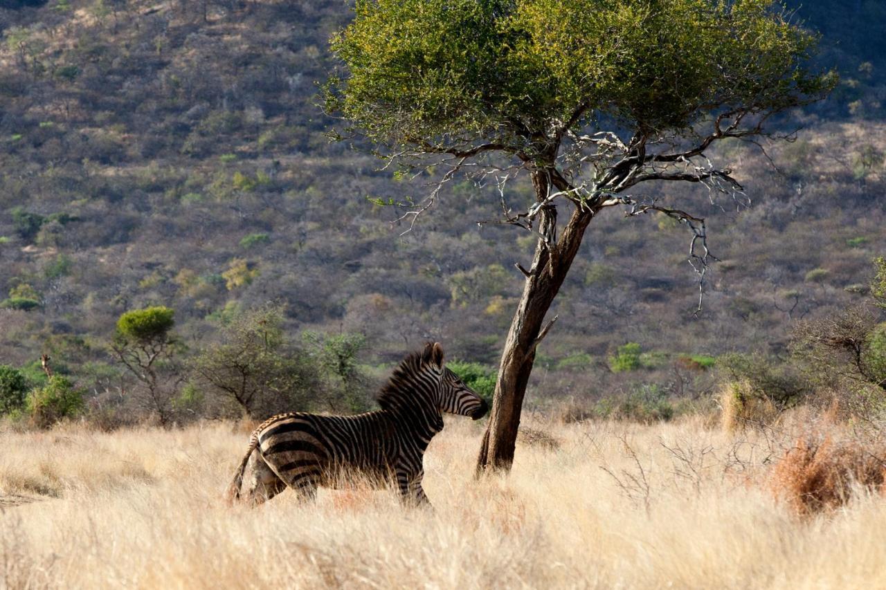 Gabus Game Ranch Villa Otavi Buitenkant foto