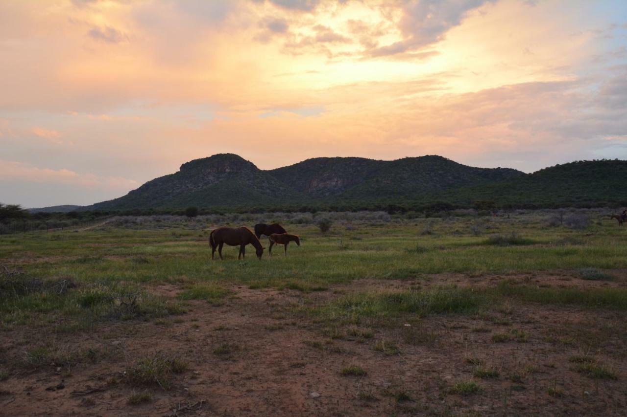 Gabus Game Ranch Villa Otavi Buitenkant foto